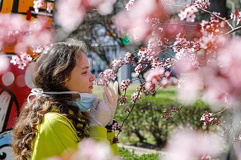 Why true loss of smell, taste a godsend for many Covid patients