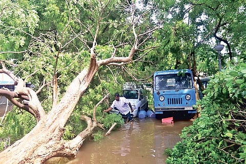 Uprooted trees, flooded streets in Puducherry on Thursday