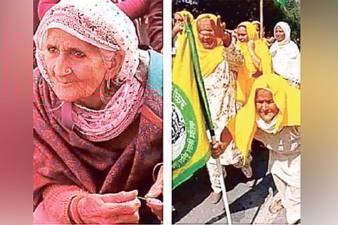 DeTect: Shaheen Bagh Dadi did not show up at farmers’ protest