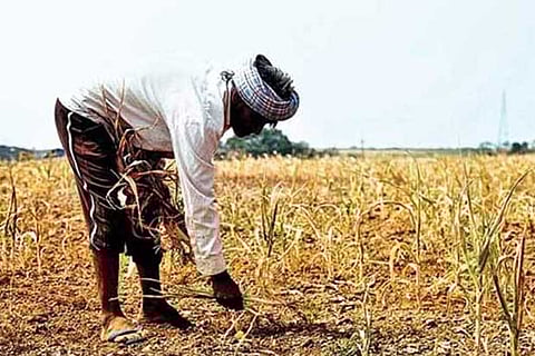 New agri laws will uplift farmers’ lives, assures BJP farmers wing chief