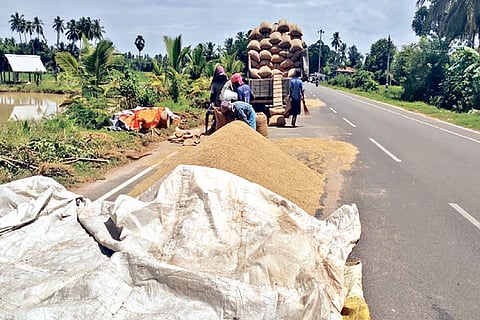 Paddy stocks piled up alongside a road in Thanjavur
