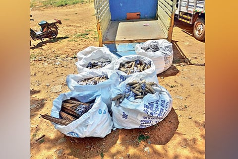 Seized fire crackers