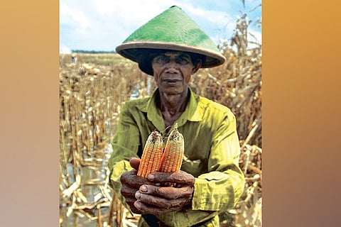 Demand for sustainable growth: Multicoloured deal for post pandemic world