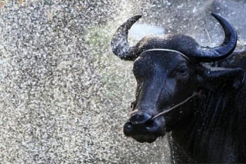 Representative Image&nbsp;