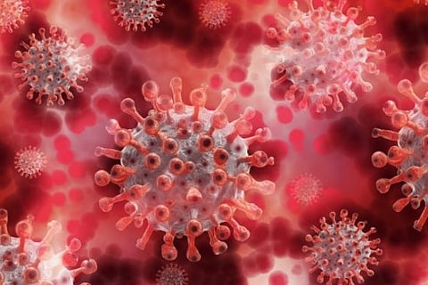 Age may not contribute to COVID-19 infection risk: Study