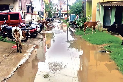 Waterlogged streets at Mercy Nagar, Puzhal. It comes under ward 22 of Corporation