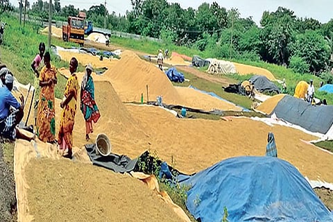 Tonnes of paddy piled up in front of DPCs in Thanjavur