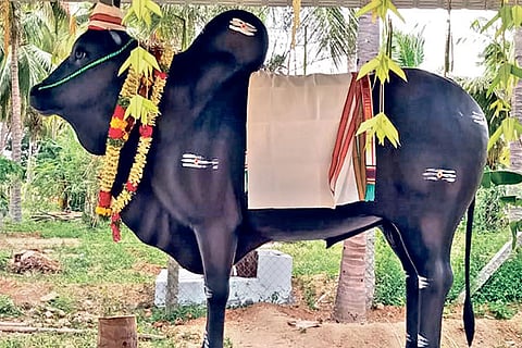The statue of the bull - Othai Komban - unveiled by a farmer in Tirupur on Monday