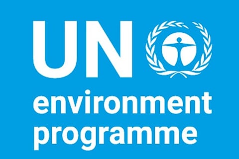 UNEP calls for adopting sustainable food systems