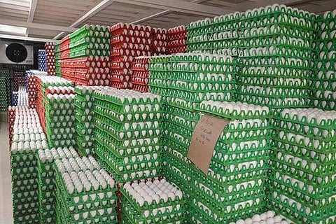 Eggs could be distributed to students when they come to collect educational materials and dry ration