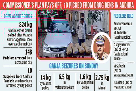 Weed ’em out, City cops get to root of it