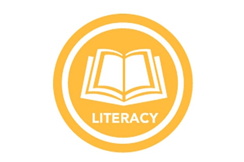 TN’s literacy rate likely to increase by 9 per cent in new census