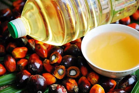 India's palm oil imports fall 13.86 pc in Aug: SEA