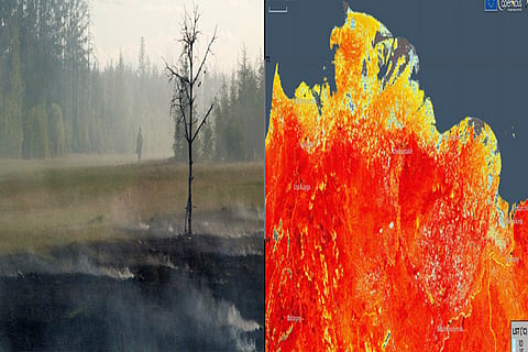 Environmental Baggage: Impact of fewer people on the planet