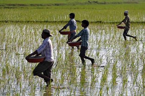 New 4.5 million dollar Walmart Foundation grants to empower India farmers