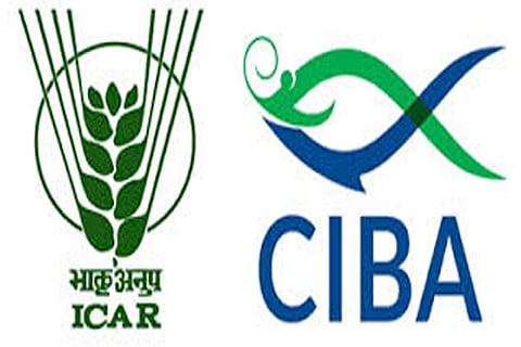 CIBA develops virus-based product to curb bacterial disease in shrimps