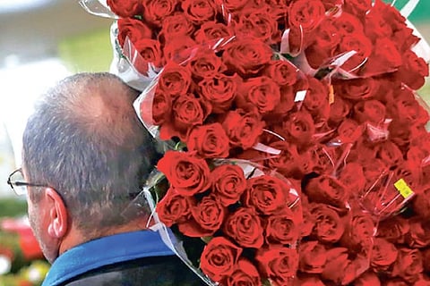 Aromatherapy in the apiary is what honeybees need