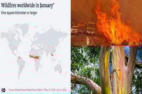 Fire fighters battle a fire near the town of Hout Bay, South Africa