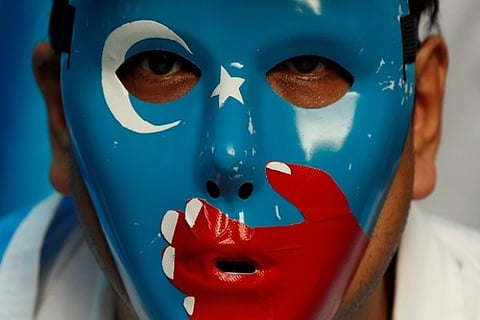 Representative Image (ANI)