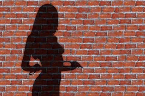 Bengaluru police bust honey trap gang from Rajasthan