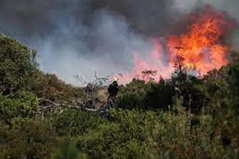 Table Mountain wildfire threatens University of Cape Town