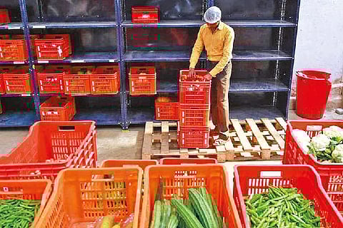 Tatas’deal to buy 64.3 pc in BigBasket cleared by CCI