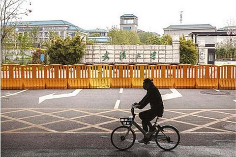 A Deepening Mystery:  Virus sequences that disappeared are back