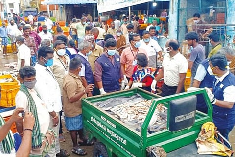 Rotten fish being seized by Food Safety Department in Dindigul on Saturday