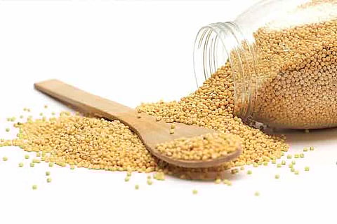 Millets can reduce risk of developing cardiovascular disease