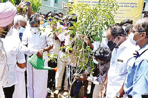 Minister KN Nehru waters a sapling in Vyasarpadi on the occasion of Madras Day celebrations.