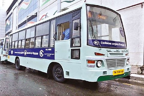 The buses have been painted differently to identify them easily.
