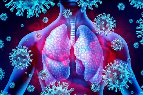 (Image Courtesy: Reuters)