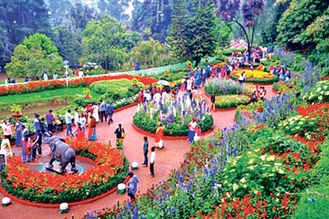 The Nilgiris (File Photo)