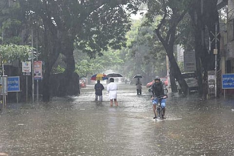 Heavy rains expected in several districts in Tamil Nadu (File Photo)