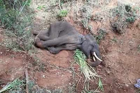 Representative image