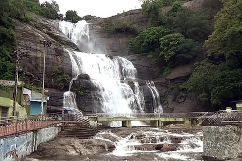 Courtallam waterfall all set to welcome visitors from December 20 (Image credit: PTI)