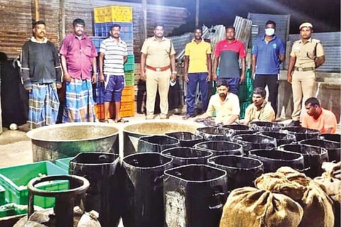 Police with the seized sea cucumber.