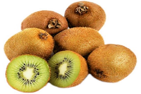 India has suspended import of fresh Kiwi fruits from Iran due to rise in pest infested consignments