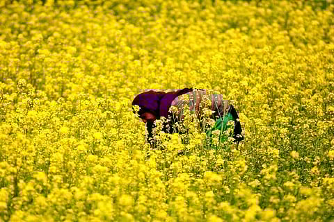 Representative Image (Image Courtesy: Reuters)