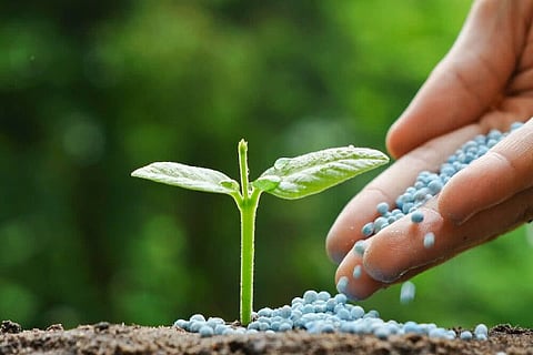 Representative image