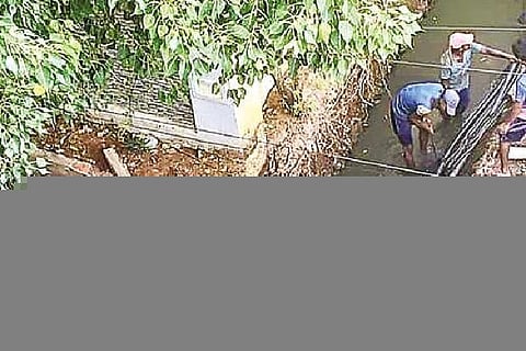 Representative image