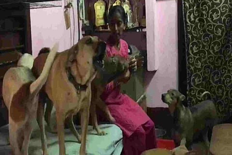 Rajni Shetty with her dogs at her house in Mangaluru (Image Courtesy: ANI)