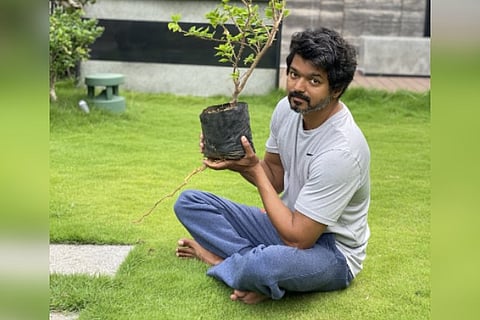 Actor Vijay planting a tree sapling (Source: Twitter)