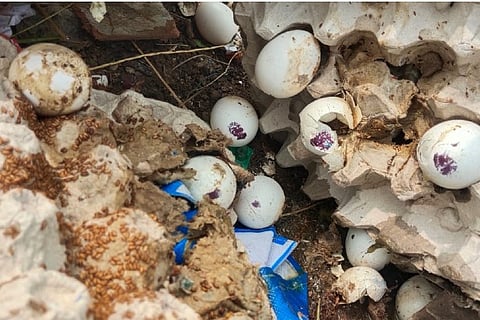 Representative image.