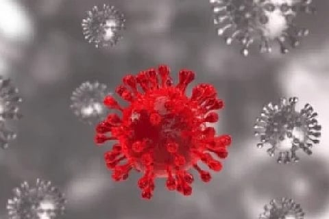 Representative image (Source: IANS)