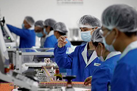 The human roulette of vaccination drives