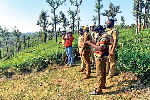 Forest Department officials tracking the wild elephant in The Nilgiris on Wednesday