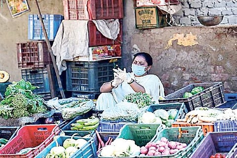 WPI inflation surges to 2.03 pc in Jan