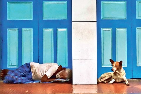 TN urged to form integrated policy for urban homeless