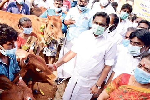 Palaniswami handing over milch animals to beneficiaries in Ramanathapuram on Saturday.